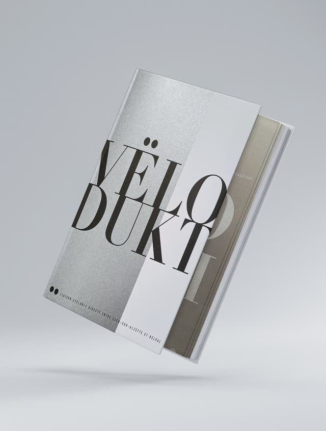 Tome 1: Le Projet