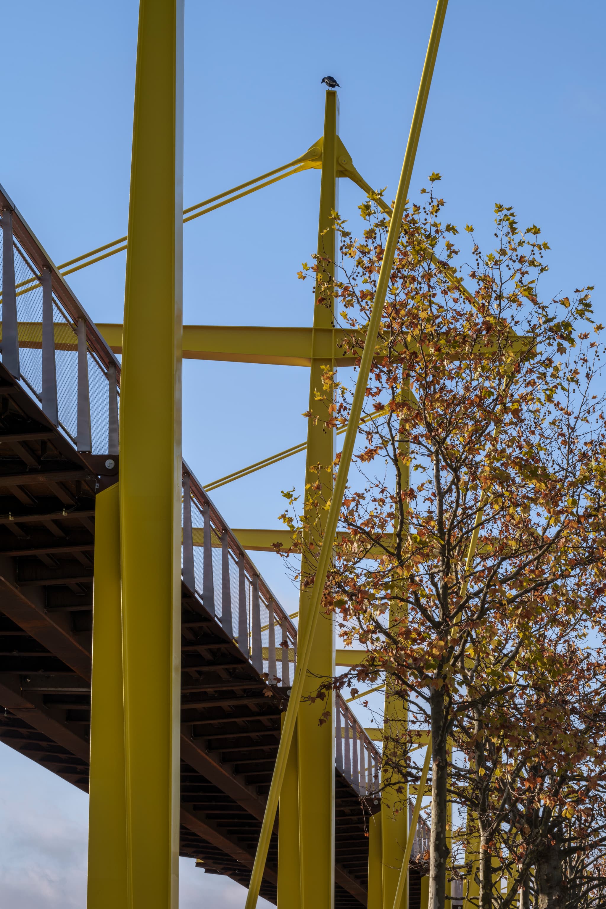 pont jaune deux
